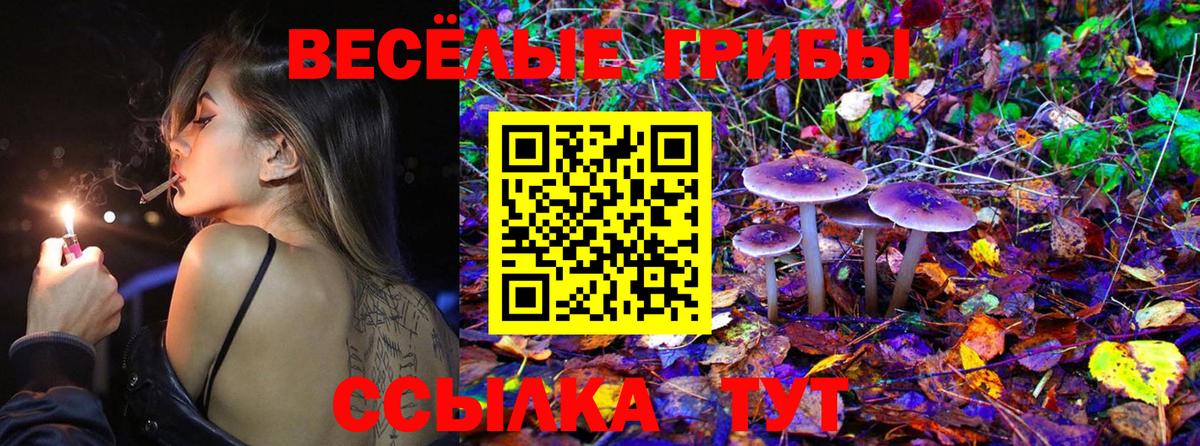наркотики  Псилоцибиновые грибы MAGIC MUSHROOMS  Вход с VPN  Гурьевск 