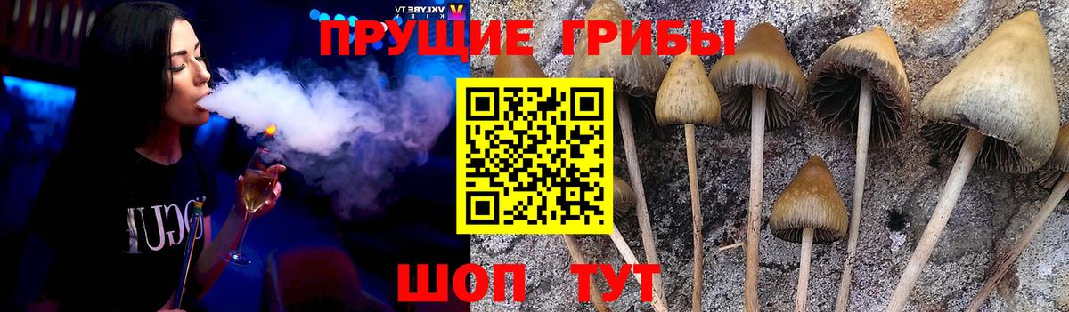 Галлюциногенные грибы мицелий Гурьевск